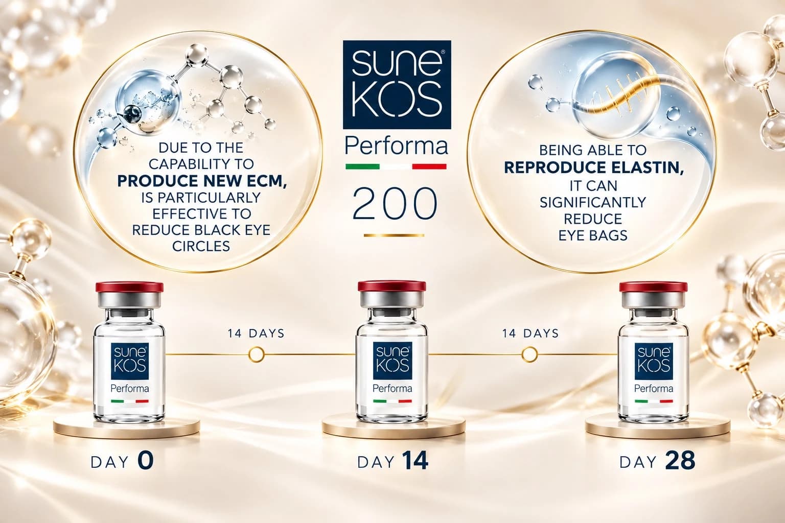 Sunekos Performa 200 — produces new ECM and reproduces elastin, Day 0 to Day 28
